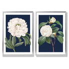 Vintage White Flowers on Navy Blue Set of 2 Art Prints with Silver Frame