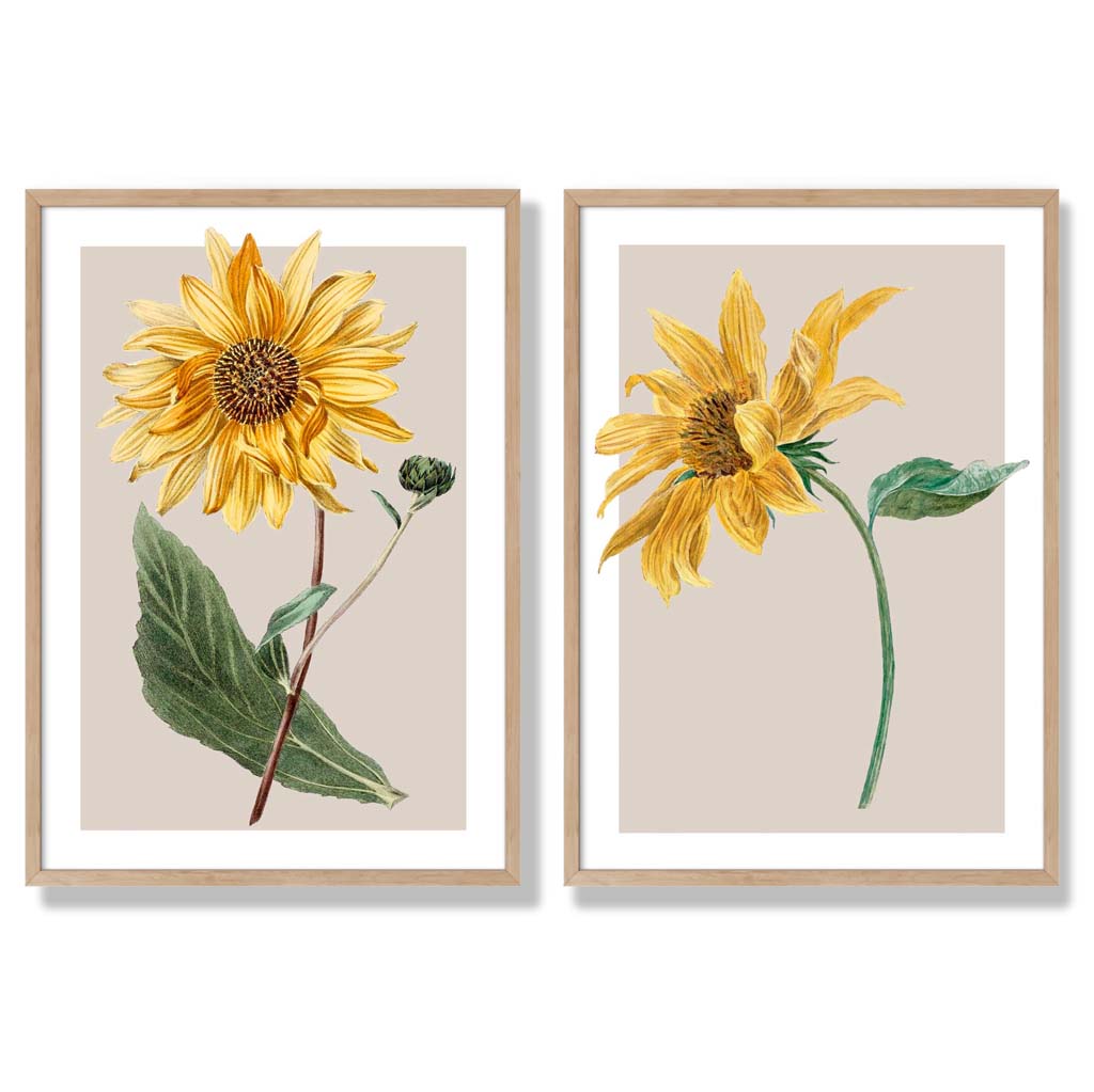 Sage Green Geometric Pineapple Fruit Set of 2 Art Prints with Oak Frame