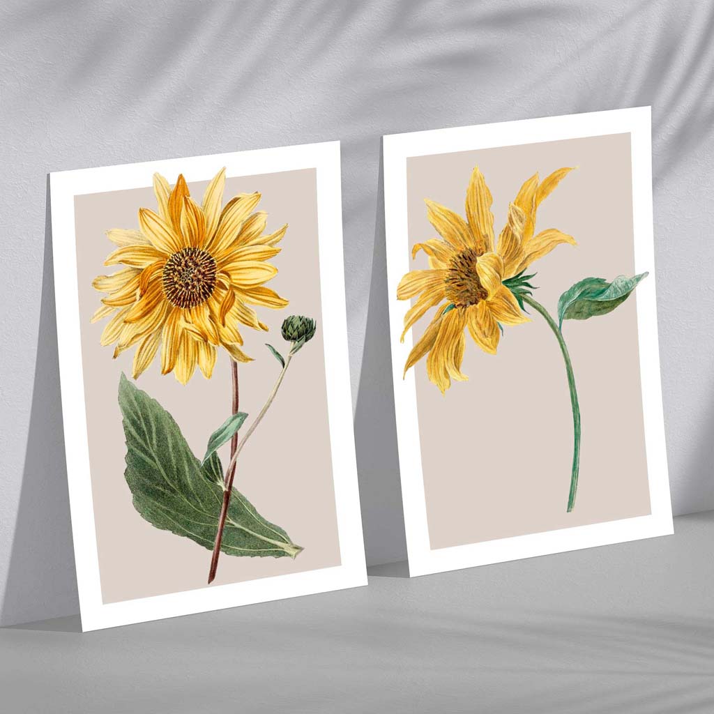 Vintage Sunflowers Set of 2 Art Prints