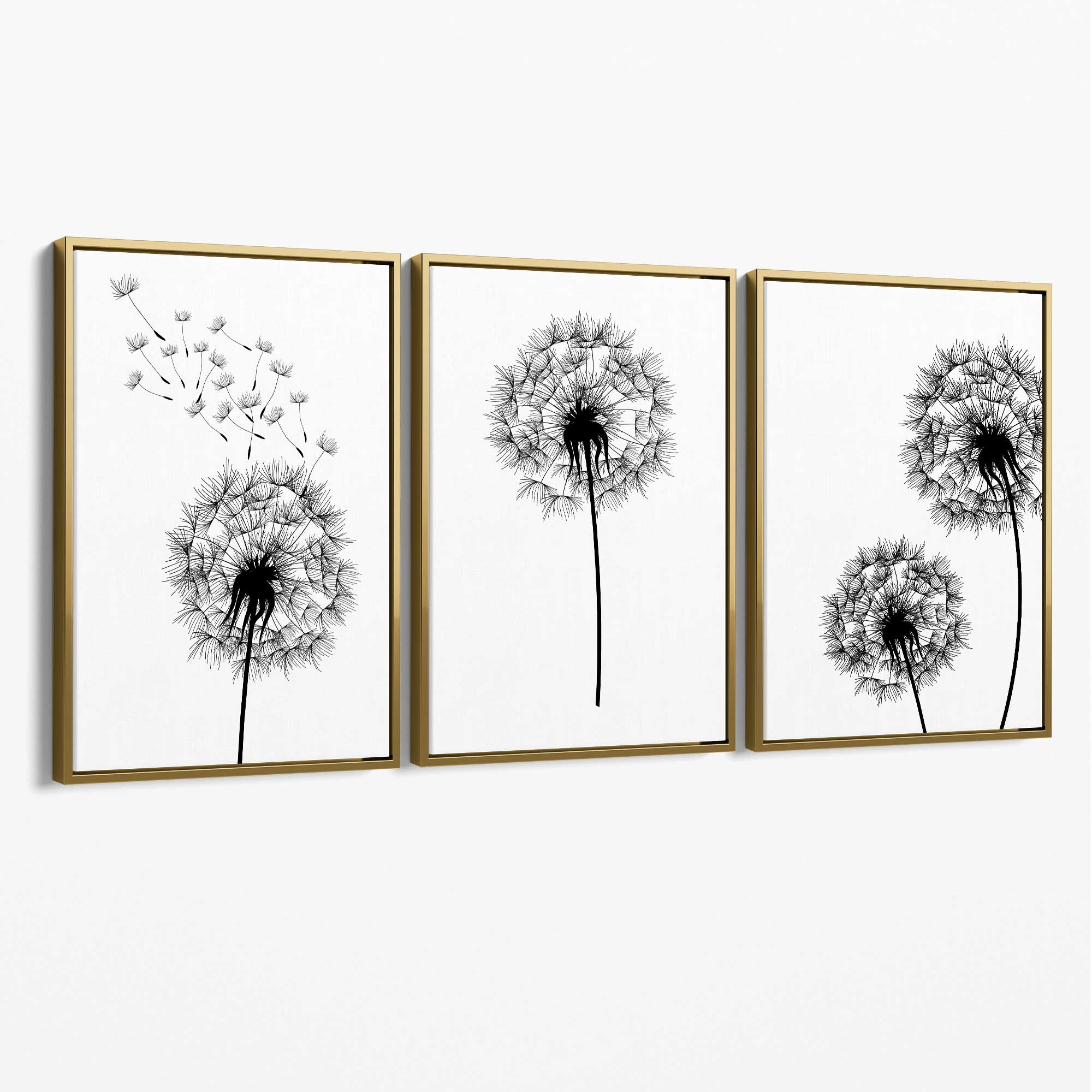 DANDELIONS Set of 3 Sketch Canvas Art Prints with Gold Float Frame