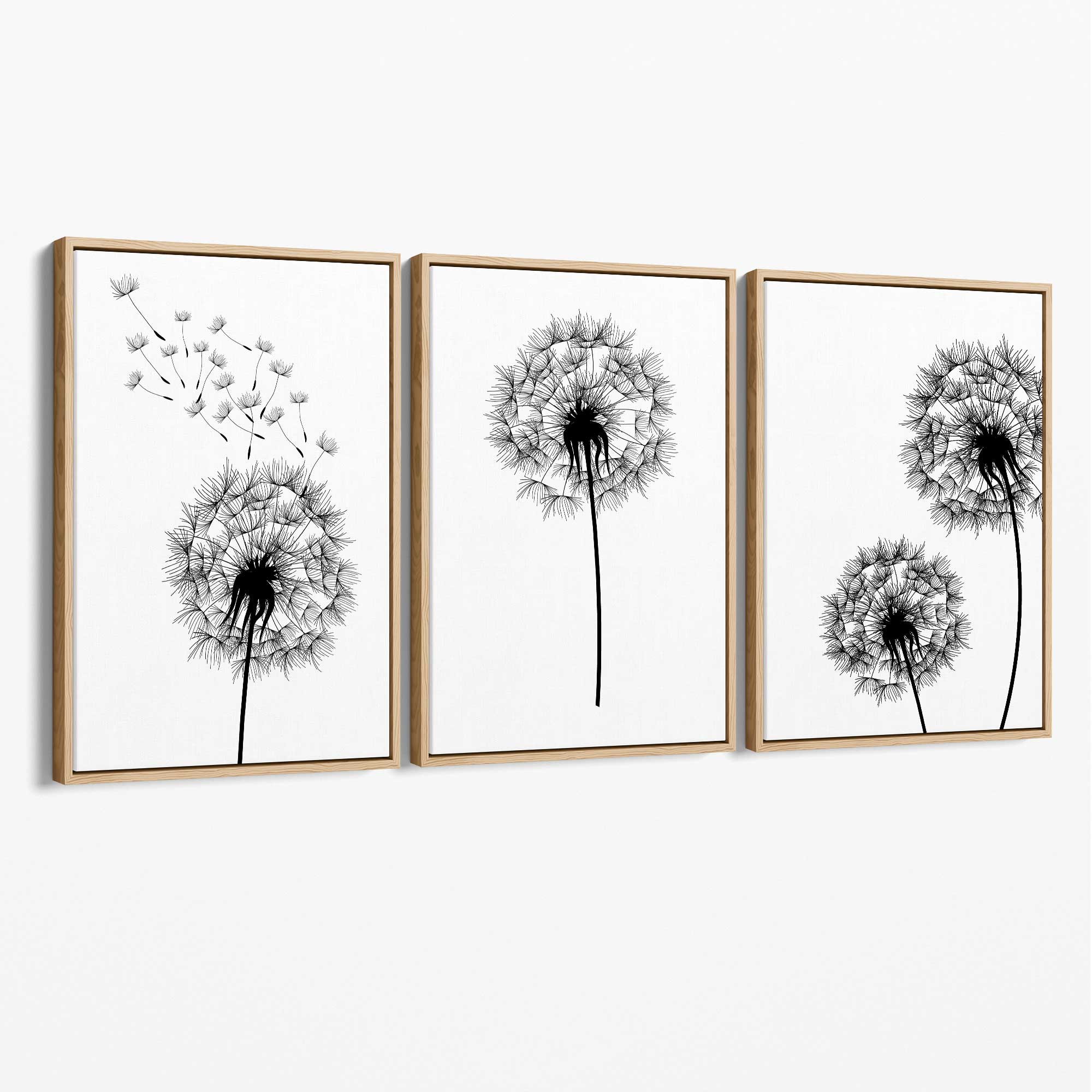 DANDELIONS Set of 3 Sketch Canvas Art Prints with Oak Float Frame