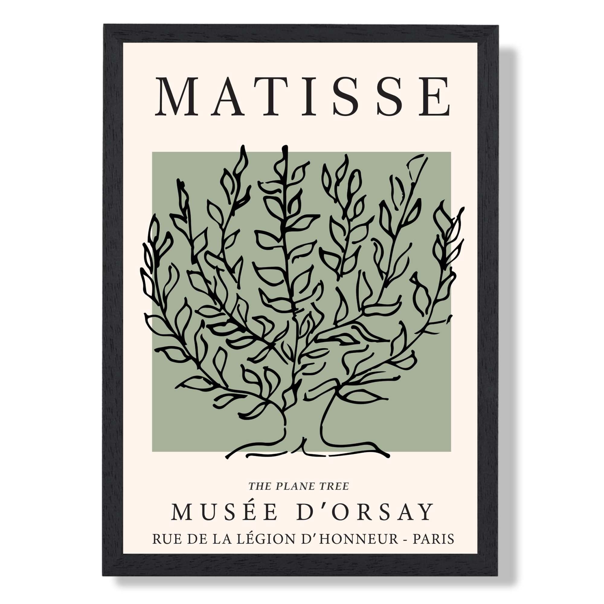 Matisse Plane Tree on Sage Green Art Print print in Black Wooden Frame