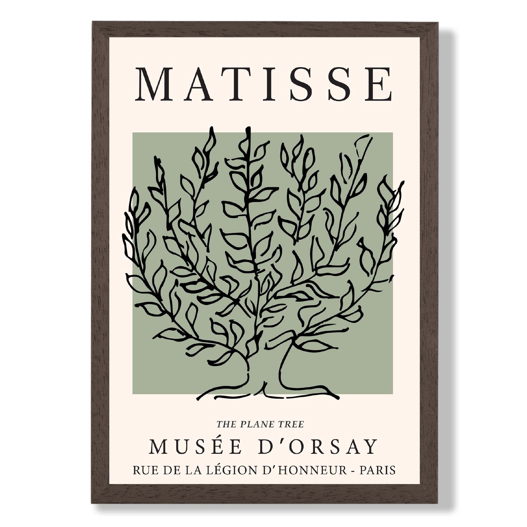 Matisse Plane Tree on Sage Green print in Dark Wooden Frame