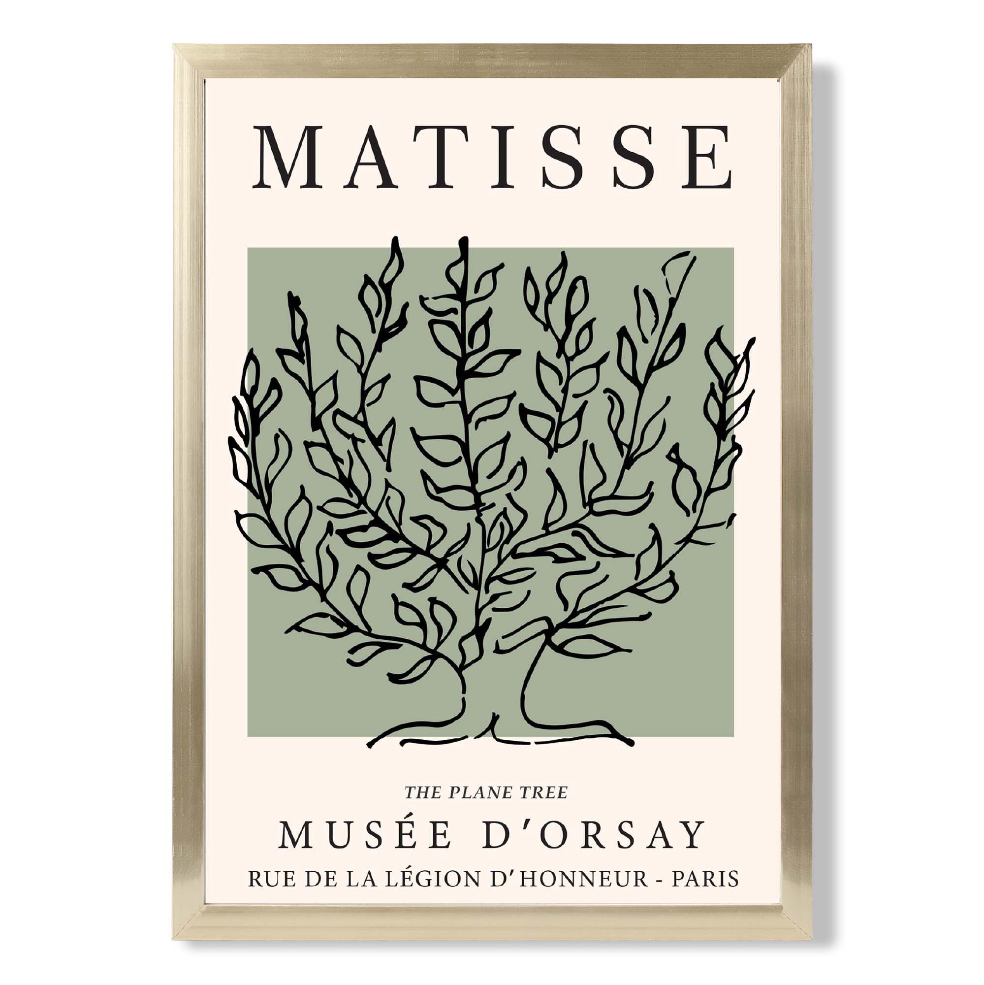 Matisse Plane Tree on Sage Green print in Gold Wooden Frame