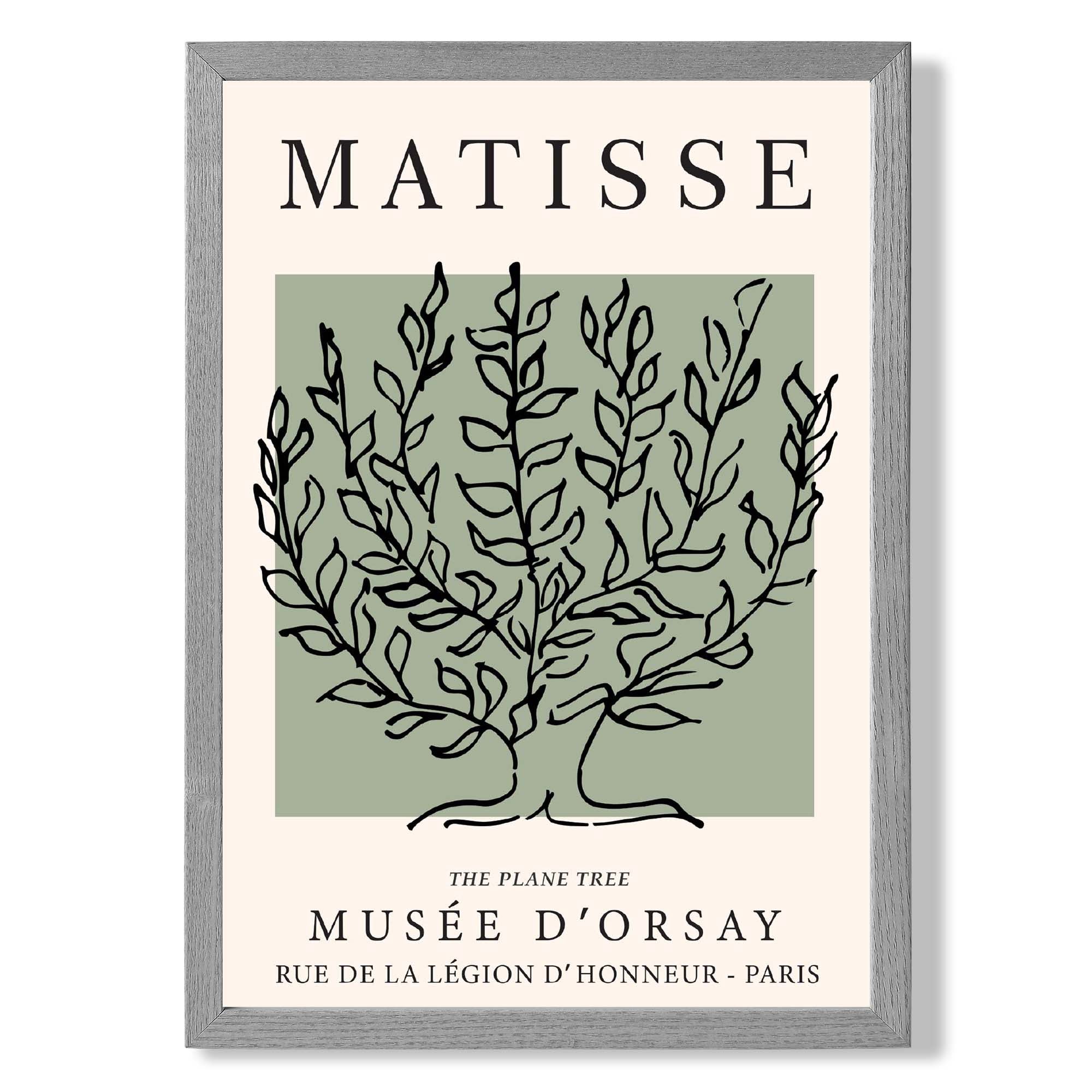 Matisse Plane Tree on Sage Green print in Light Grey Wooden Frame