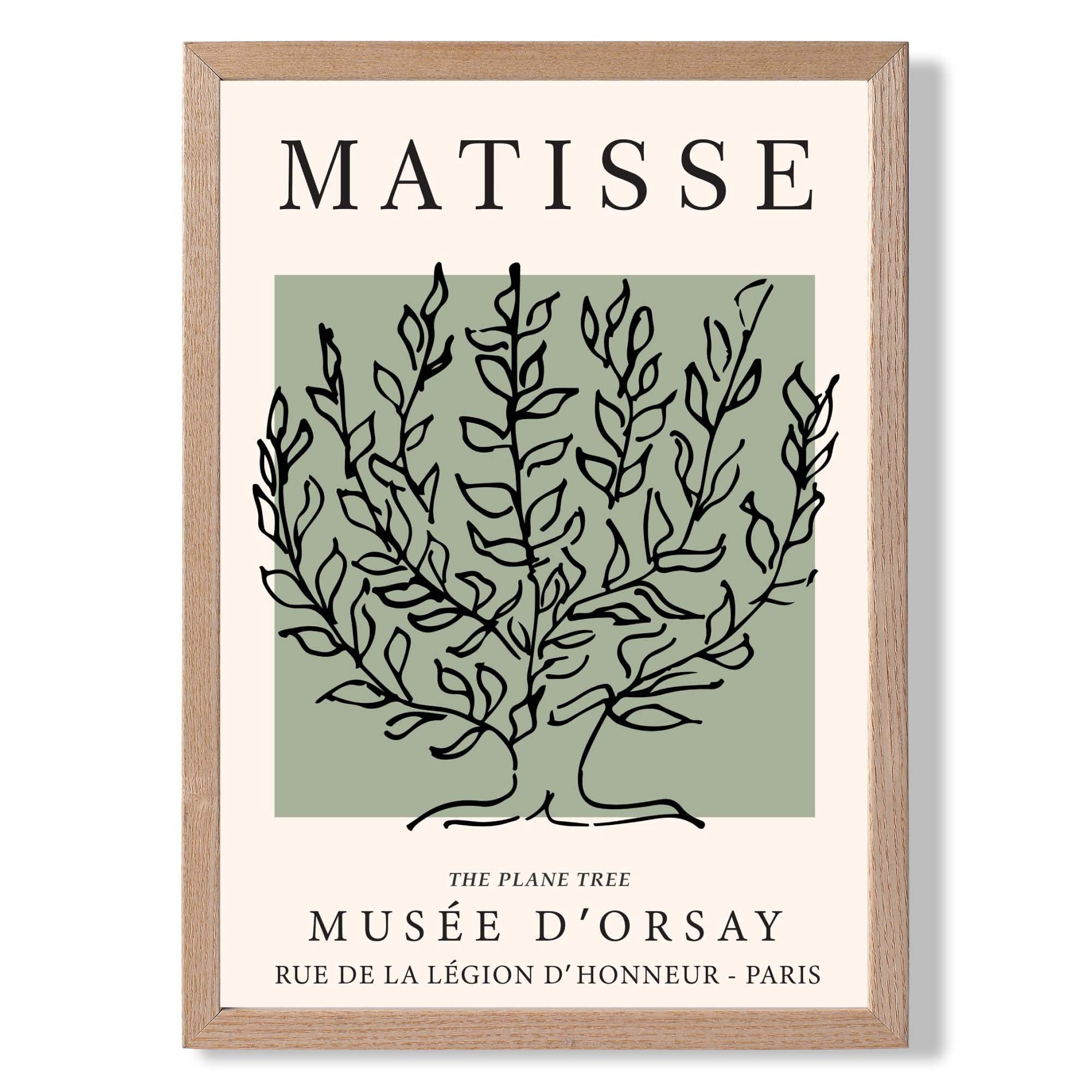 Matisse Plane Tree on Sage Green Art Print Wall Art Print