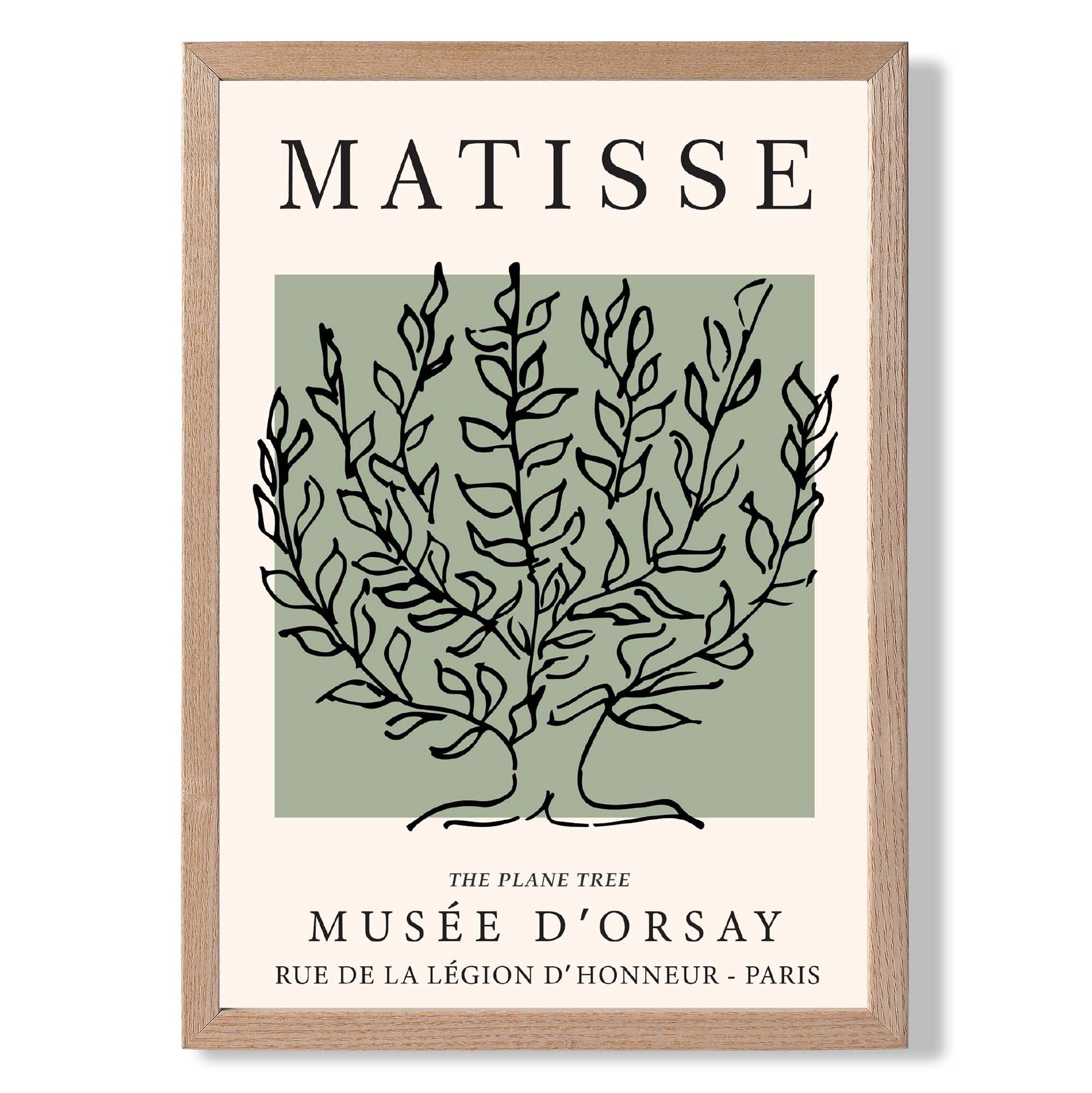 Matisse Plane Tree on Sage Green print in Light Oak Wooden Frame