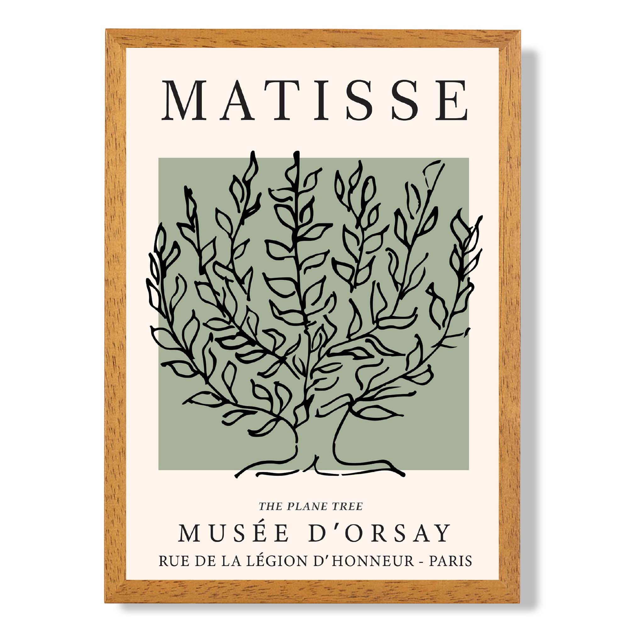 Matisse Plane Tree on Sage Green print in Oak Wooden Frame