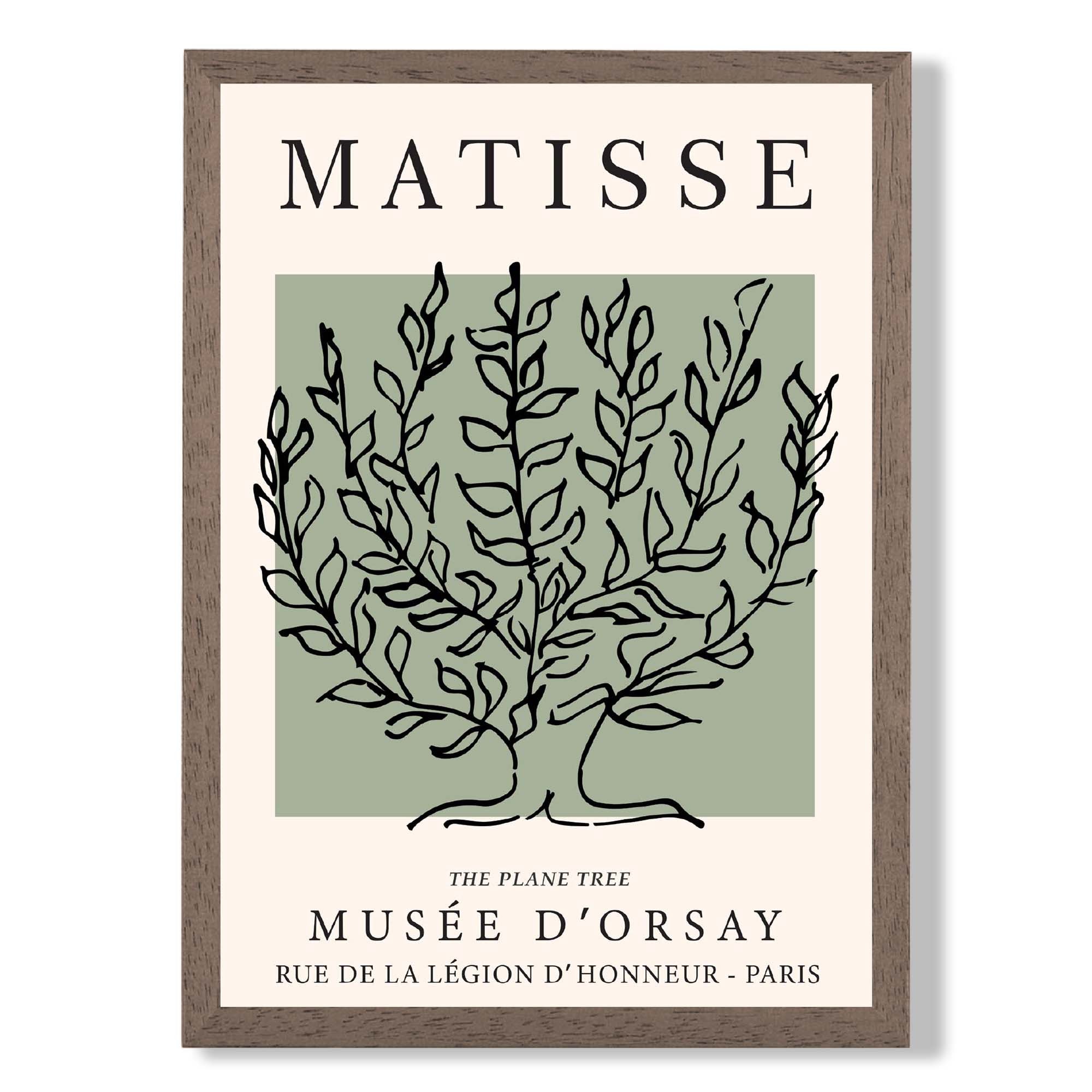 Matisse Plane Tree on Sage Green print in Walnut Wooden Frame