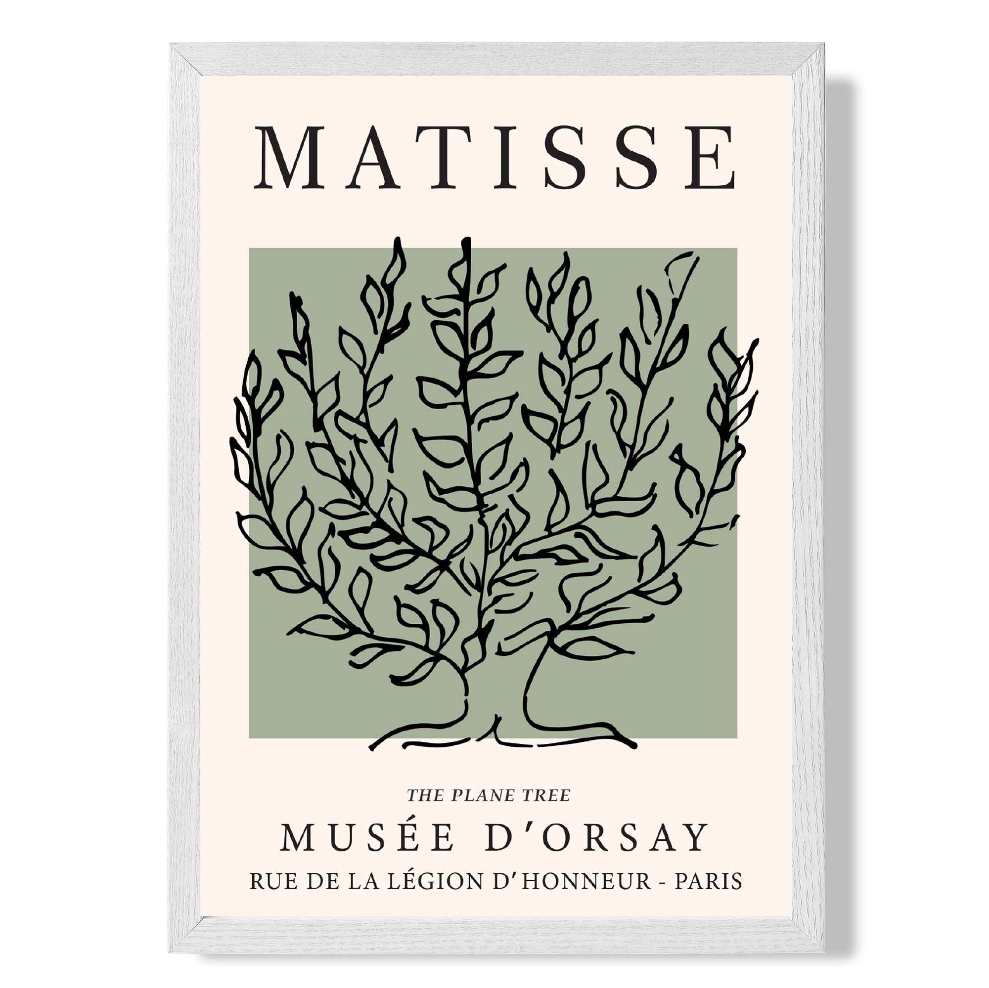 Matisse Plane Tree on Sage Green print in White Wooden Frame