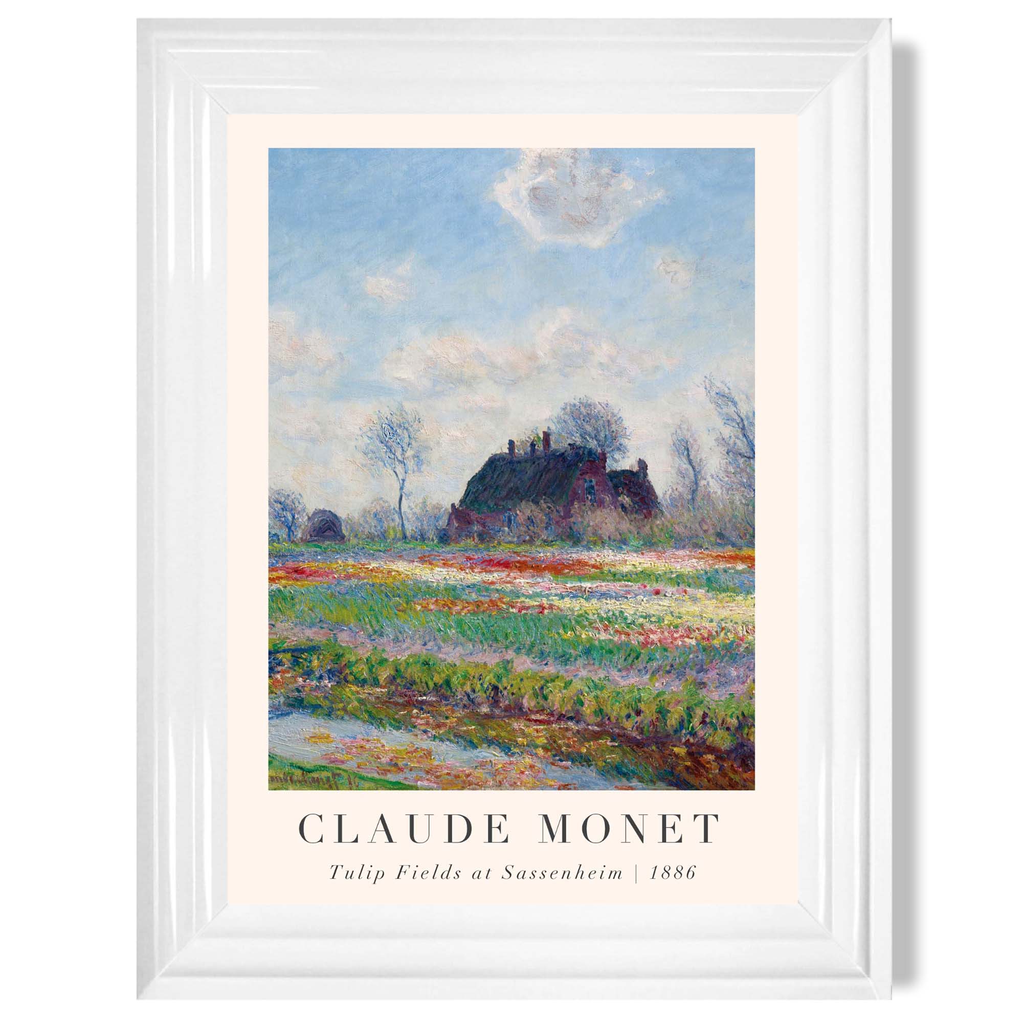 Claude Monet Tulip Fields print in White Glossy Frame