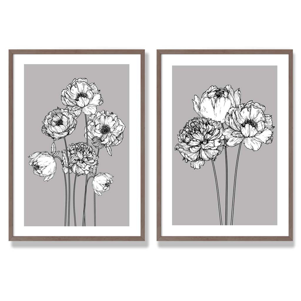 Grey Sketch Peonies Set of 2 Art Prints with Walnut Frame