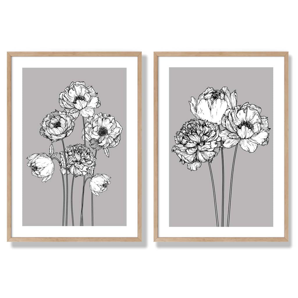 Grey Sketch Peonies Set of 2 Art Prints with Oak Frame