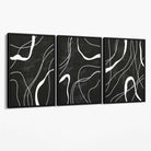 Set of 3 Abstract Black and White Canvas Art Prints with Black Float Frame