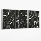 Set of 3 Abstract Black and White Canvas Art Prints with Silver Float Frame