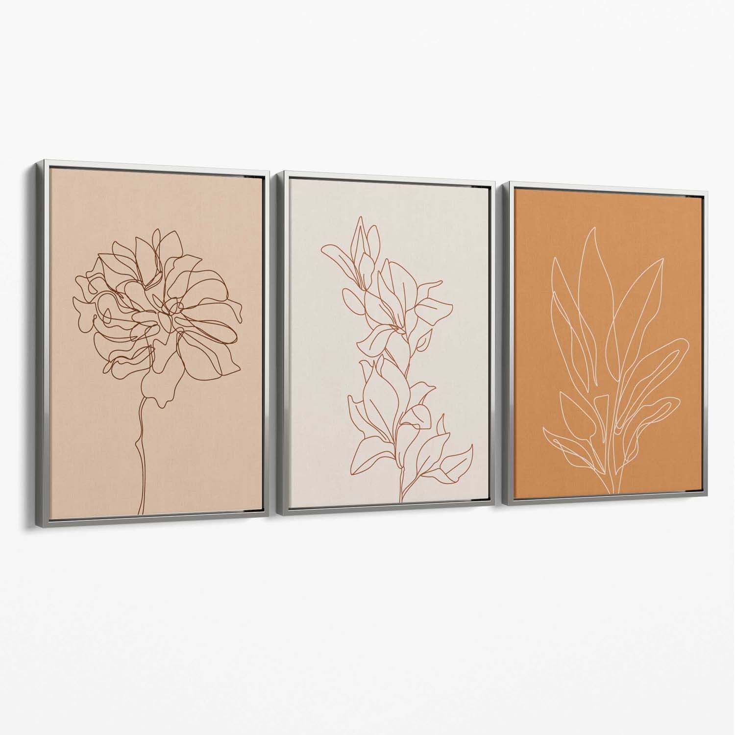 Set of 3 Minimalist Floral Beige Terracotta Canvas Art Prints with Silver Float Frame