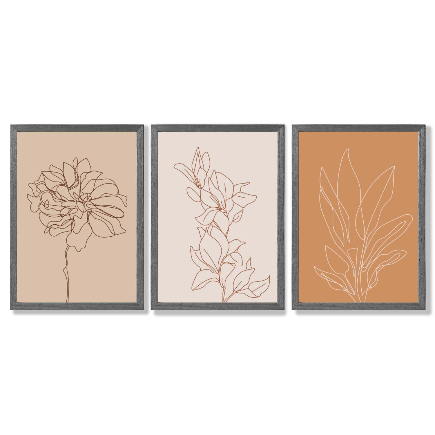 Set of 3 Minimalist Floral Beige Terracotta Framed Art Prints with Dark Grey Wooden Frames