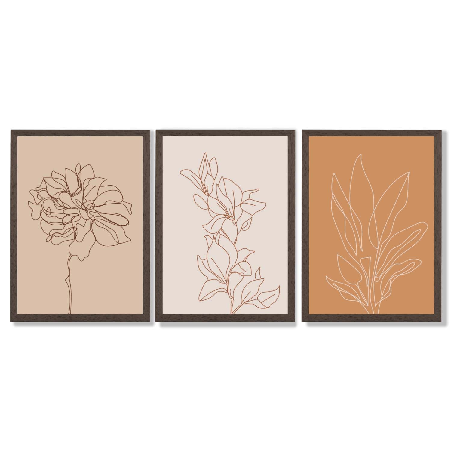 Set of 3 Minimalist Floral Beige Terracotta Framed Art Prints with Dark Wood Frames