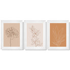 Set of 3 Minimalist Floral Beige Terracotta Framed Art Prints with Glossy White Frames