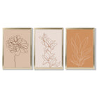 Set of 3 Minimalist Floral Beige Terracotta Framed Art Prints with Gold Wood Frames