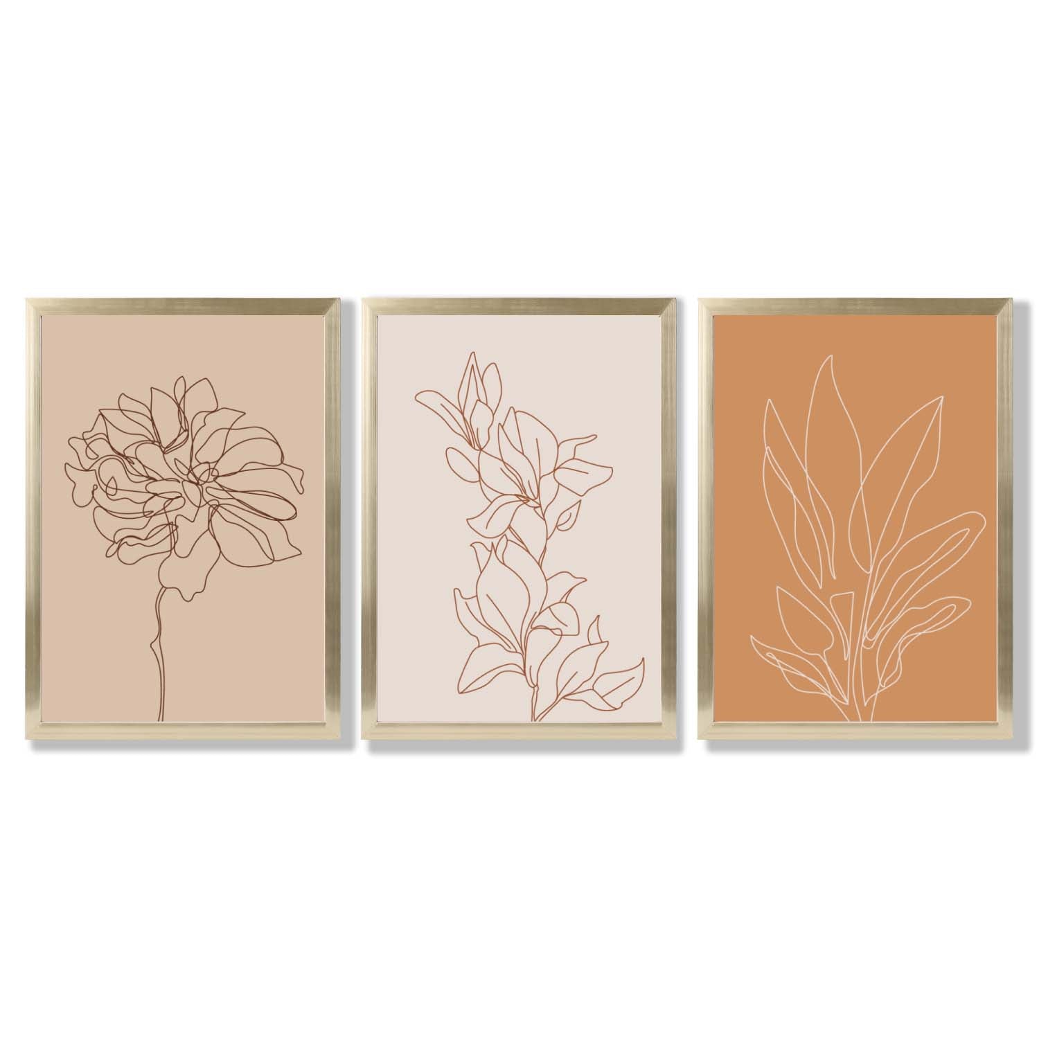 Set of 3 Minimalist Floral Beige Terracotta Framed Art Prints with Gold Wood Frames