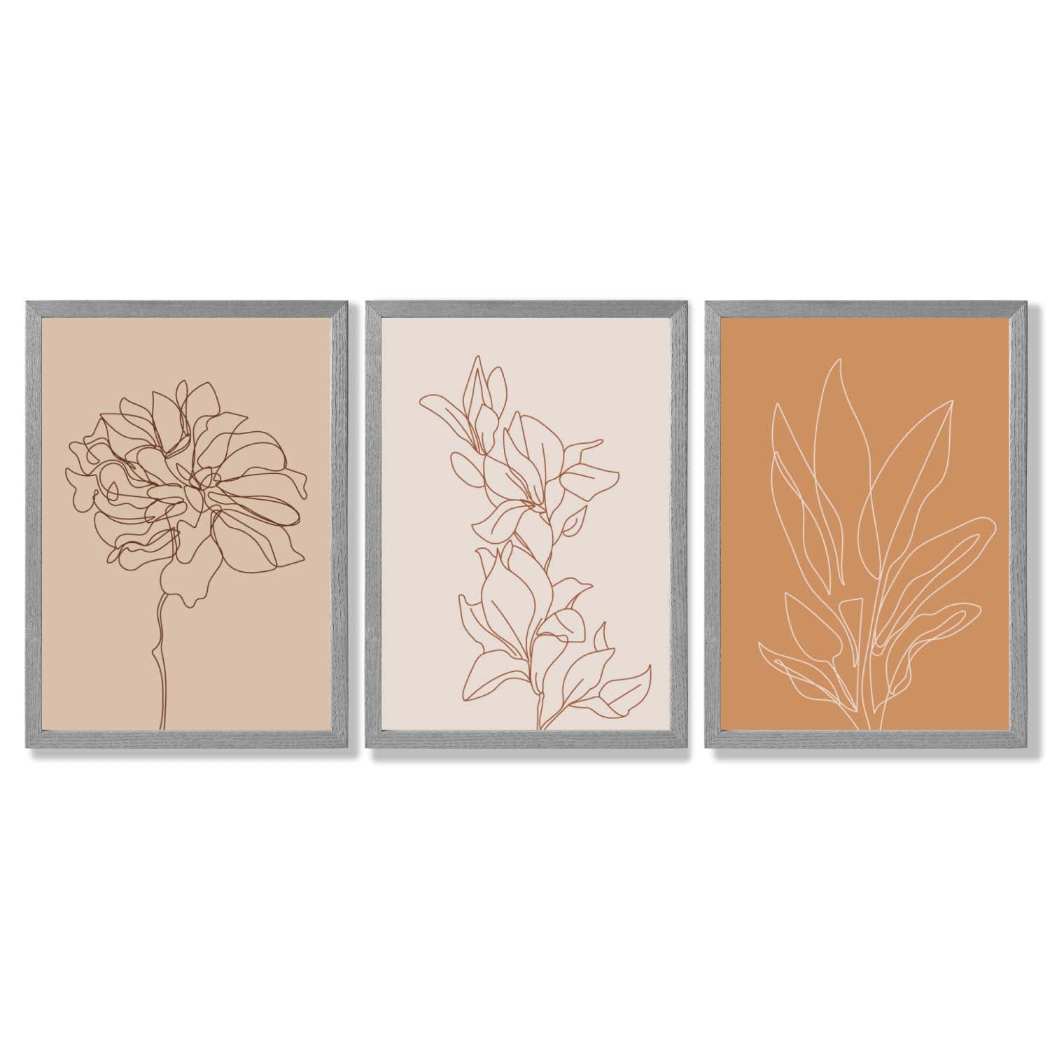 Set of 3 Minimalist Floral Beige Terracotta Framed Art Prints with Light Grey Wooden Frames