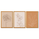 Set of 3 Minimalist Floral Beige Terracotta Framed Art Prints with Oak Wooden Frames