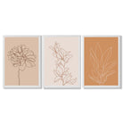 Set of 3 Minimalist Floral Beige Terracotta Framed Art Prints with White Wooden Frames