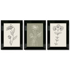 Set of 3 Green and Beige Minimal Floral Framed Art Prints with Glossy Black Frames