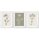 Set of 3 Green and Beige Minimal Floral Framed Art Prints with Glossy White Frames