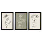 Set of 3 Green and Beige Minimal Floral Framed Art Prints with Vermeer Black and Gold Frames