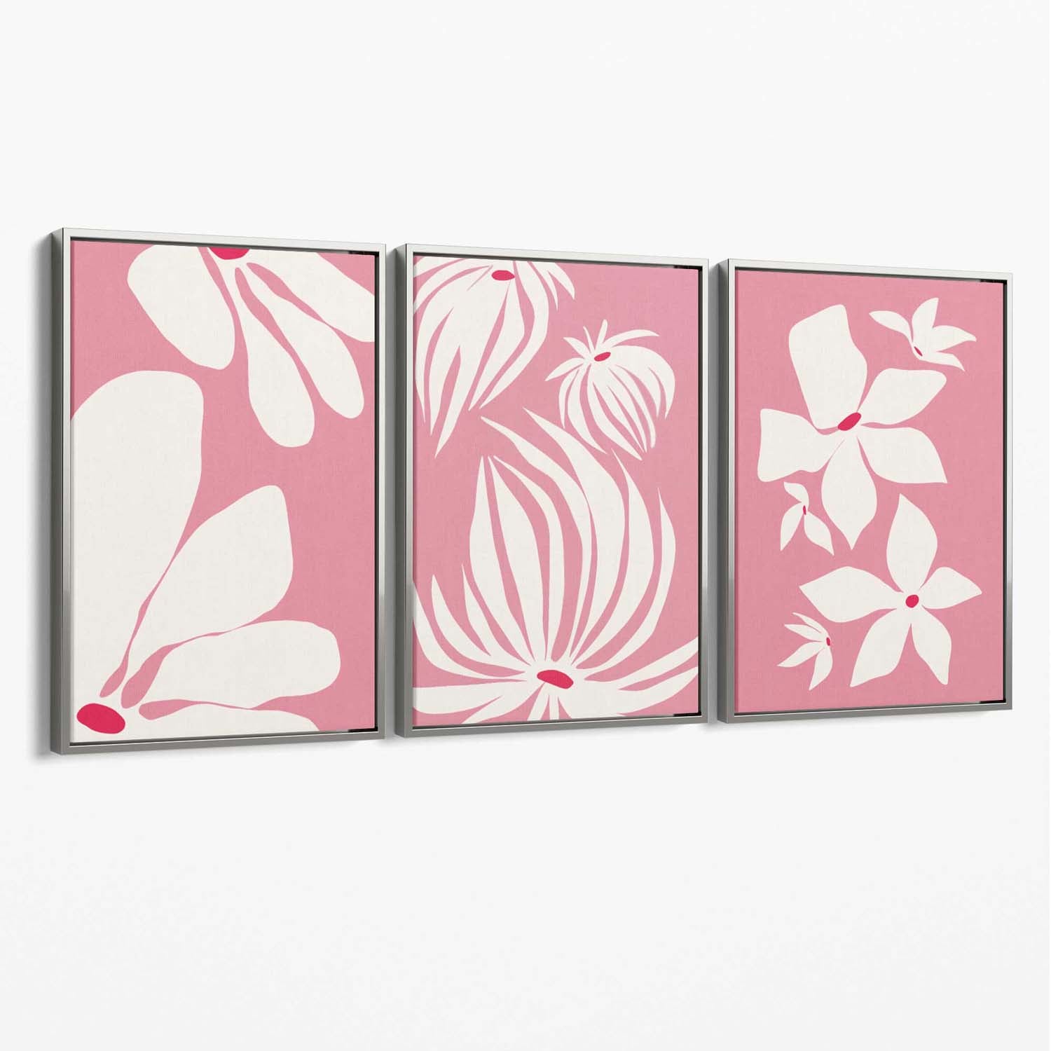 Set of 3 Pink Floral Quirky Canvas Art Prints with Silver Float Frame