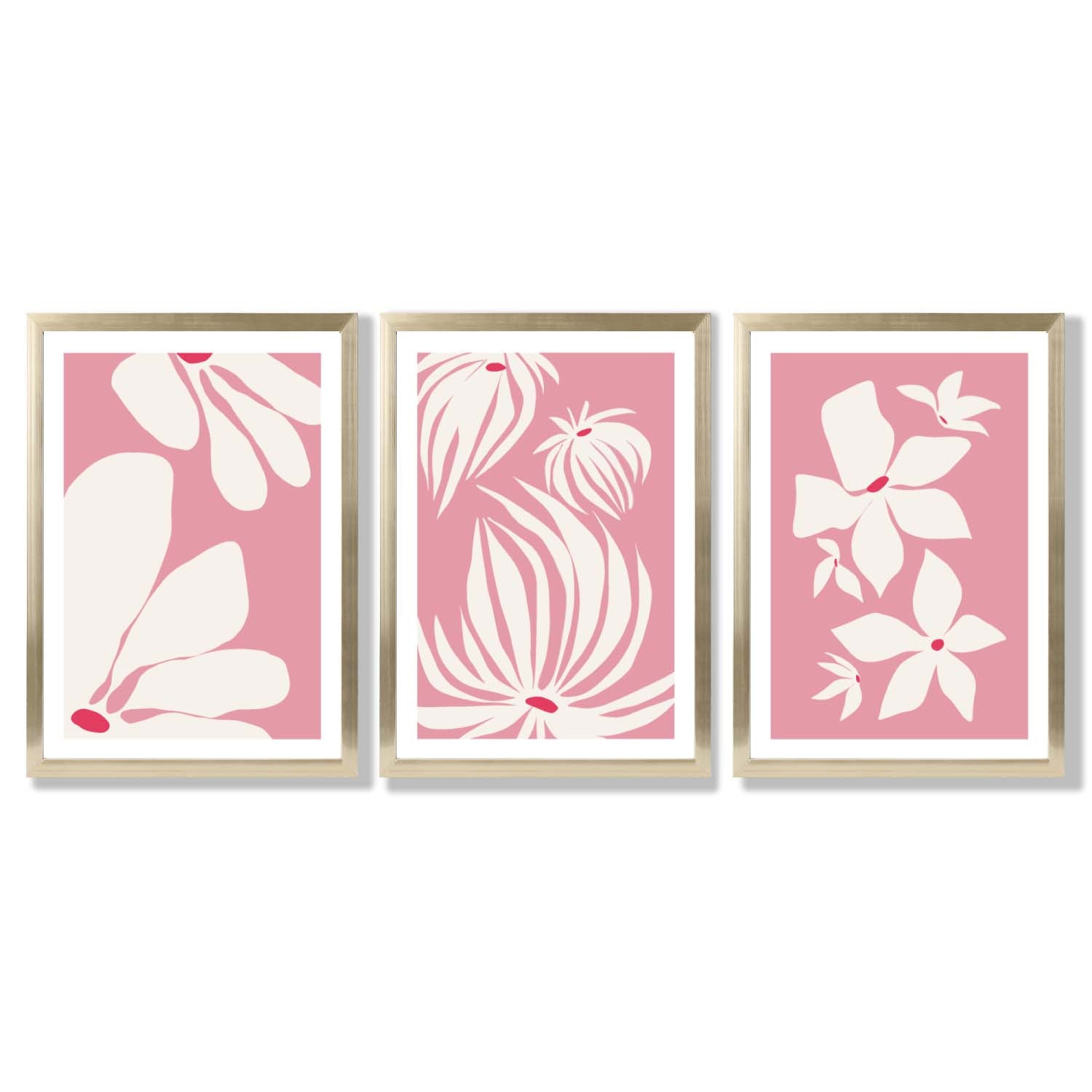 Set of 3 Pink Floral Quirky Framed Art Prints with Gold Wood Frames