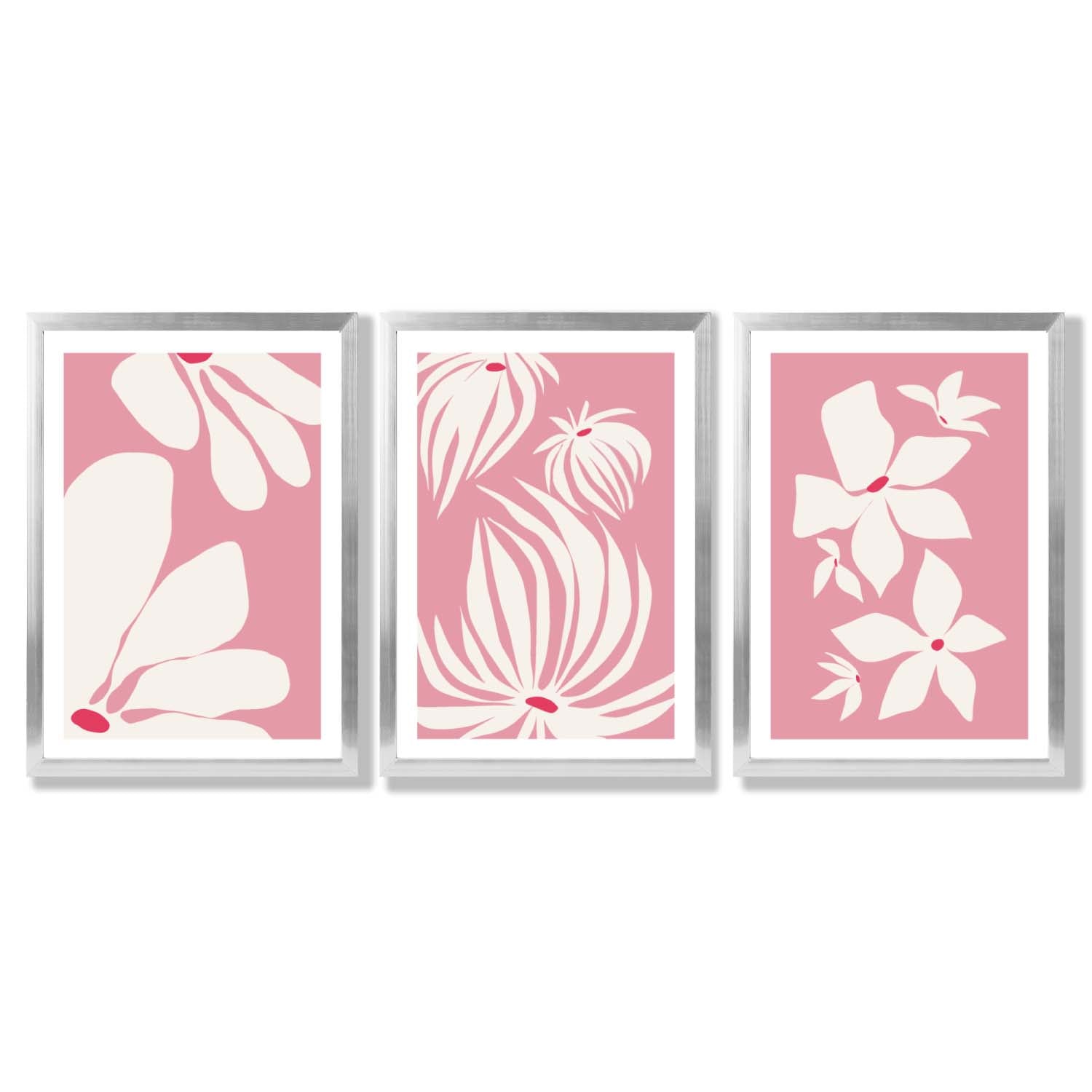 Set of 3 Pink Floral Quirky Framed Art Prints with Silver Wood Frames