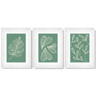 Set of 3 Green Minimal Sketch Leaves  Framed Art Prints with Glossy White Frames