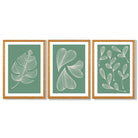 Set of 3 Green Minimal Sketch Leaves  Framed Art Prints with Oak Wooden Frames