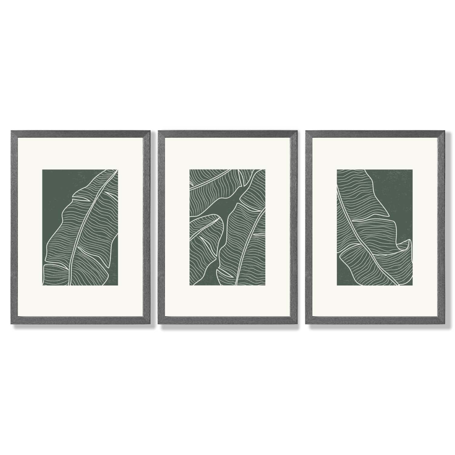 Set of 3 Minimal Green and Cream Botanical Leaves Framed Art Prints with Dark Grey Wooden Frames