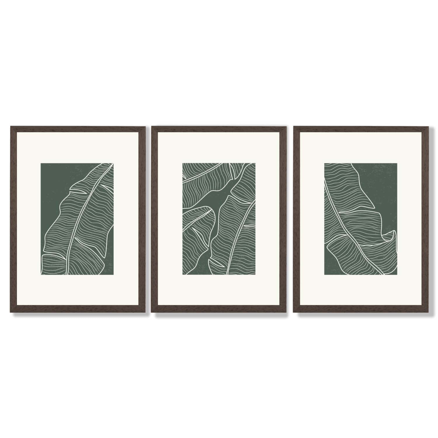 Set of 3 Minimal Green and Cream Botanical Leaves Framed Art Prints with Dark Wood Frames