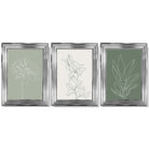 Set of 3 Sketch Flowers in Green Tones Framed Art Prints with Glossy Chrome Frames