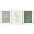 Set of 3 Sketch Flowers in Green Tones Framed Art Prints with Glossy White Frames