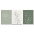 Set of 3 Sketch Flowers in Green Tones Framed Art Prints with Light Walnut Frames