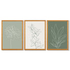 Set of 3 Sketch Flowers in Green Tones Framed Art Prints with Oak Wooden Frames