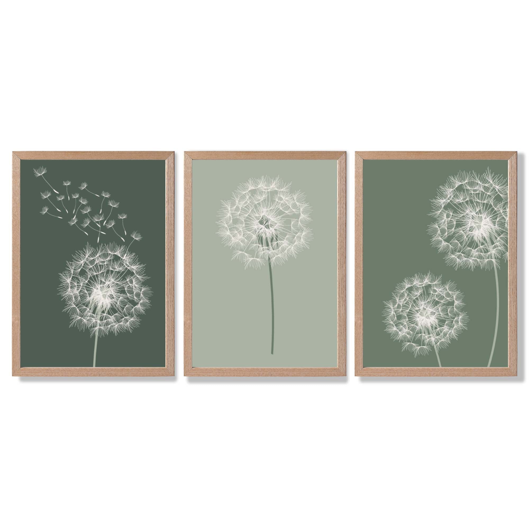 Dandelions Sketch on Green Shades Set of 3 Framed Art Prints with Light Oak Frames