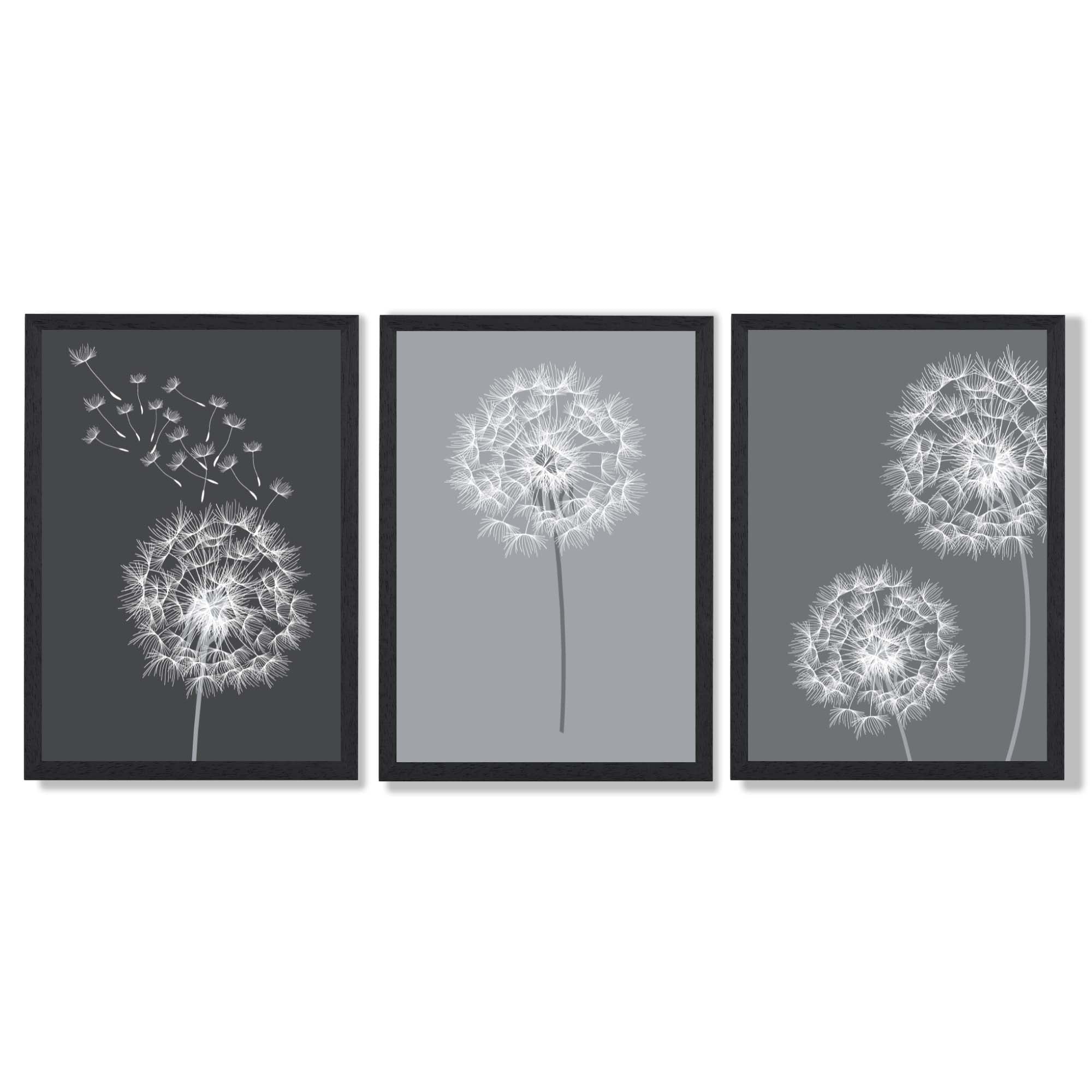Dandelions Sketch on Grey Shades Set of 3 Framed Art Prints with Black Wooden Frames