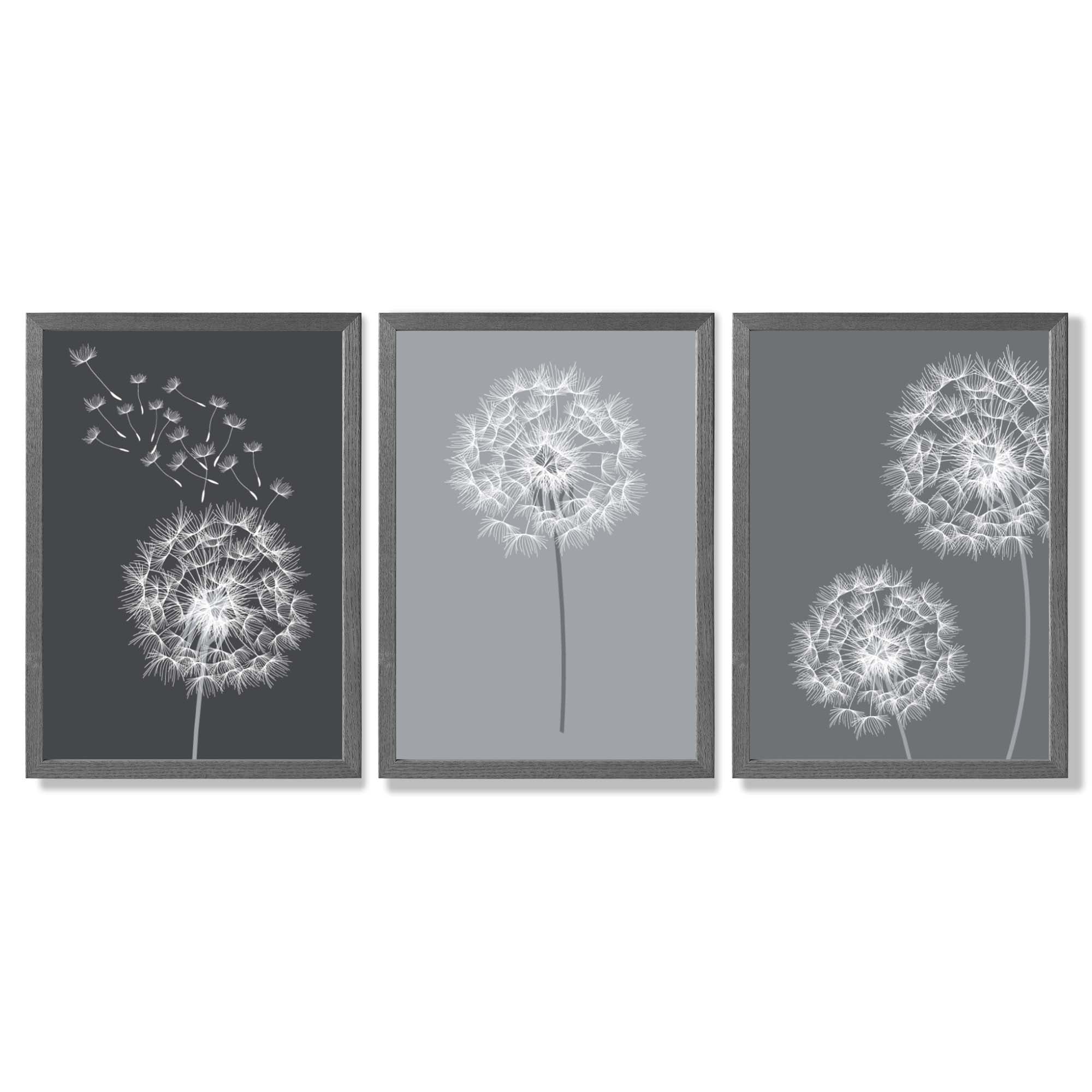 Dandelions Sketch on Grey Shades Set of 3 Framed Art Prints with Dark Grey Wooden Frames