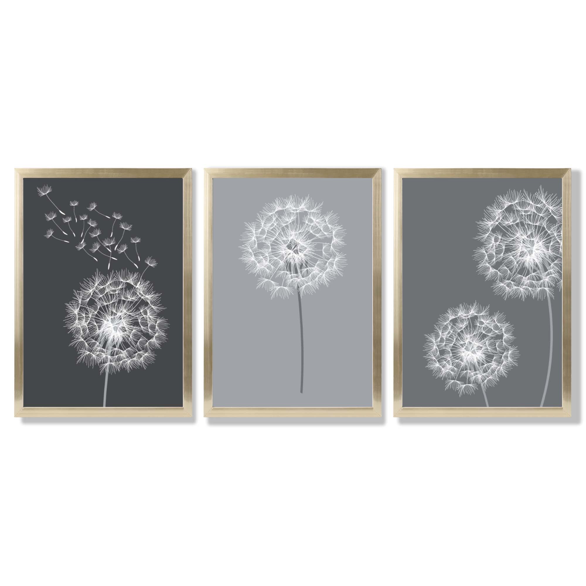 Dandelions Sketch on Grey Shades Set of 3 Framed Art Prints with Gold Wood Frames