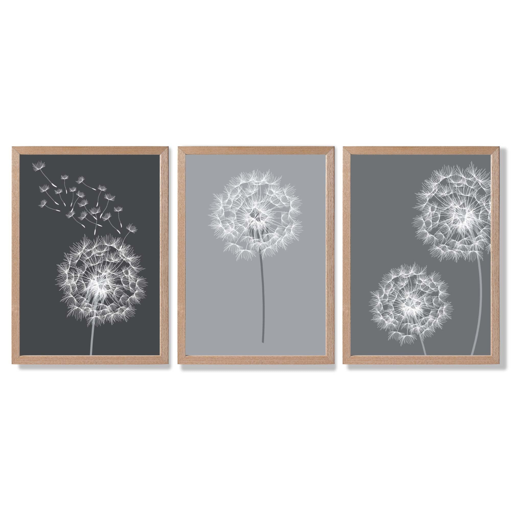Dandelions Sketch on Grey Shades Set of 3 Framed Art Prints with Light Oak Frames
