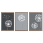 Dandelions Sketch on Grey Shades Set of 3 Framed Art Prints with Light Walnut Frames