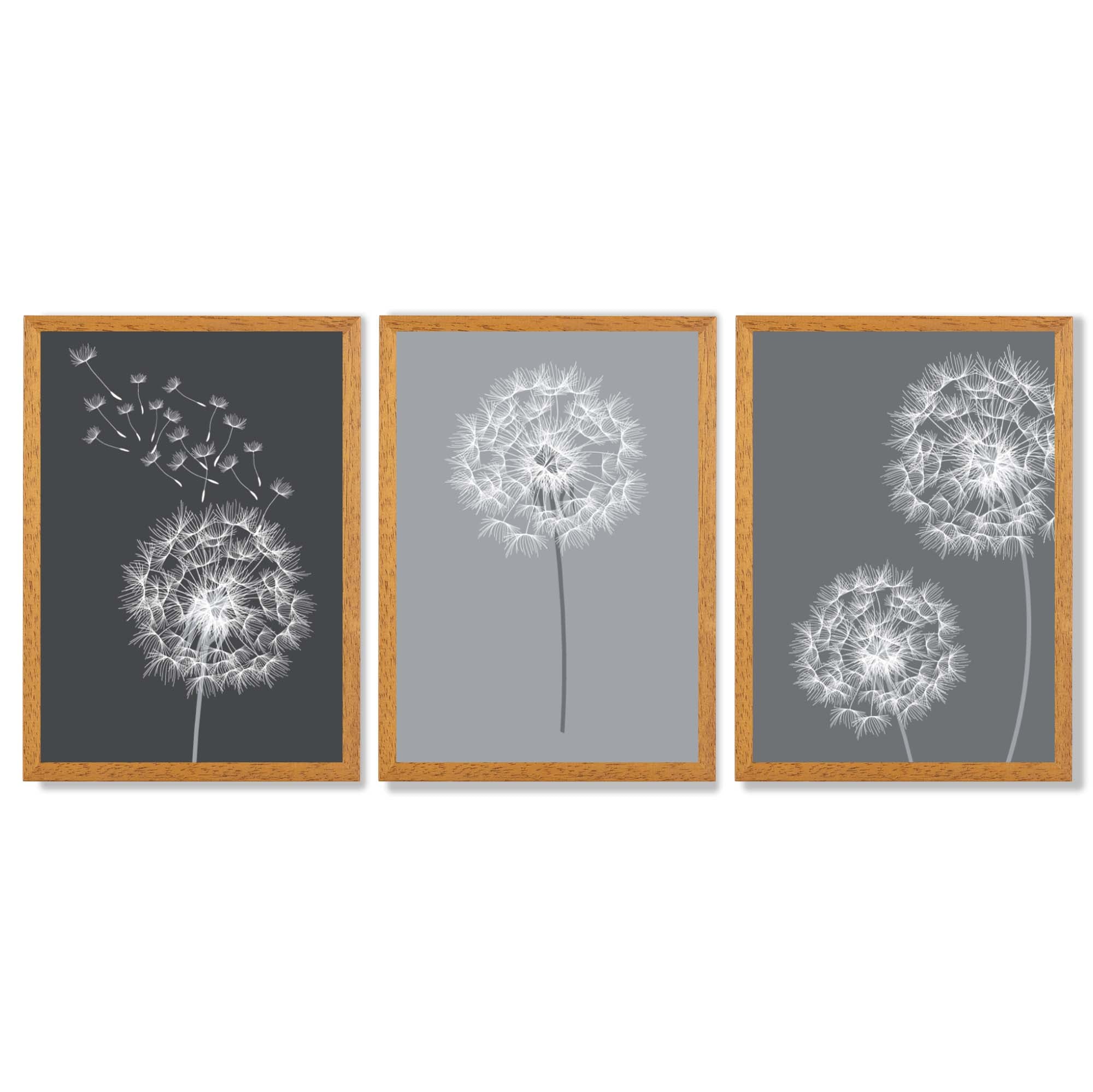 Dandelions Sketch on Grey Shades Set of 3 Framed Art Prints with Oak Wooden Frames