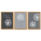 Dandelions Sketch on Grey Shades Set of 3 Framed Art Prints with Oak Wooden Frames